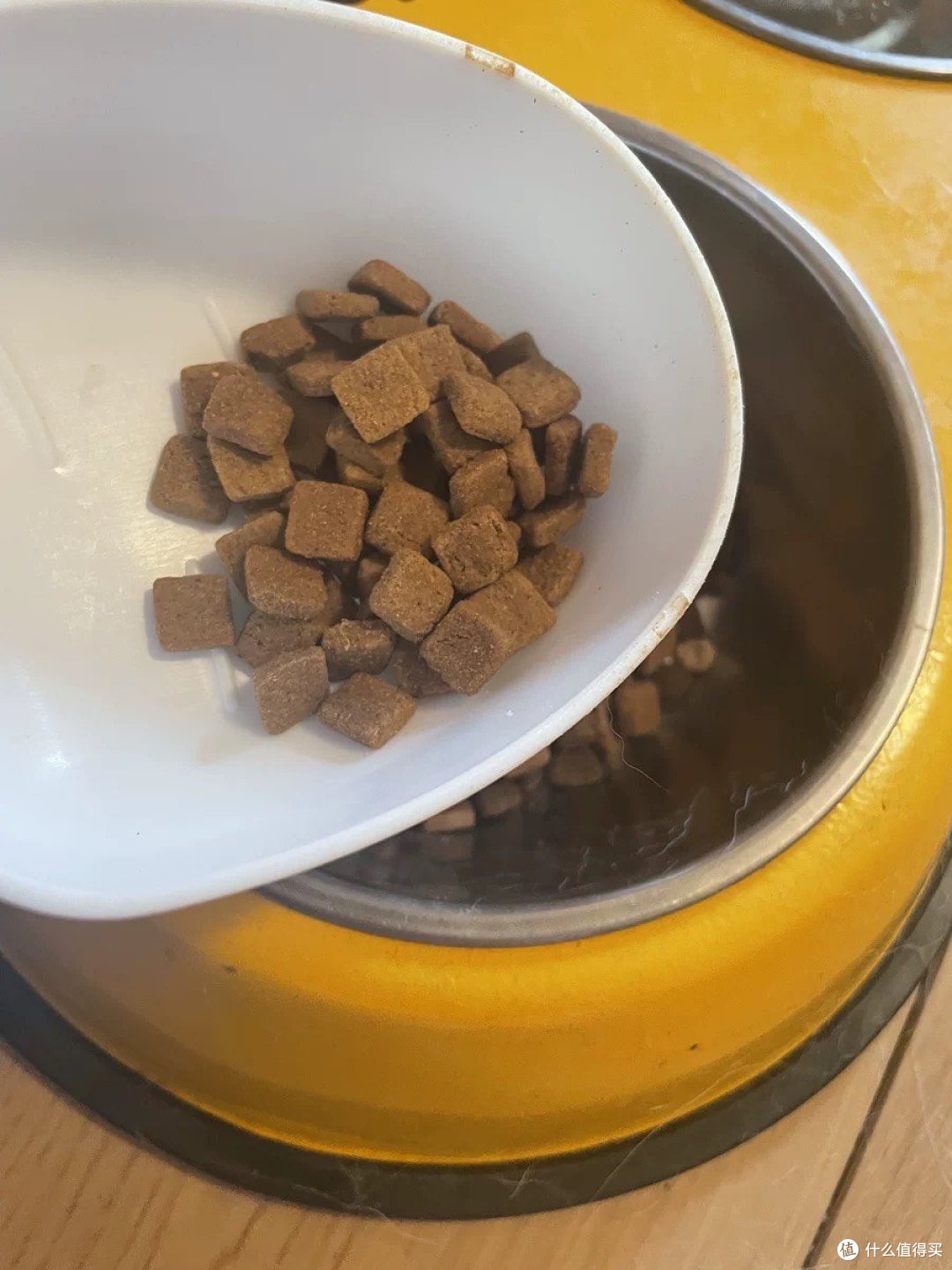 小狗的营养干粮