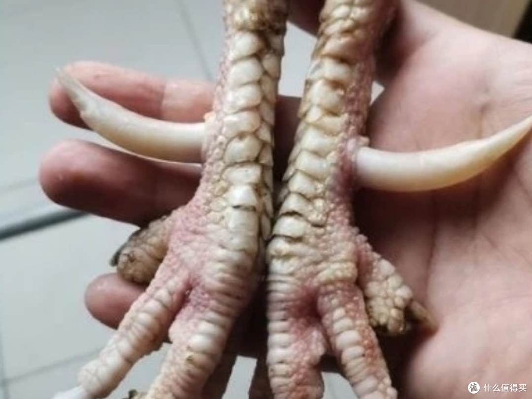 鸡爪骨手把件