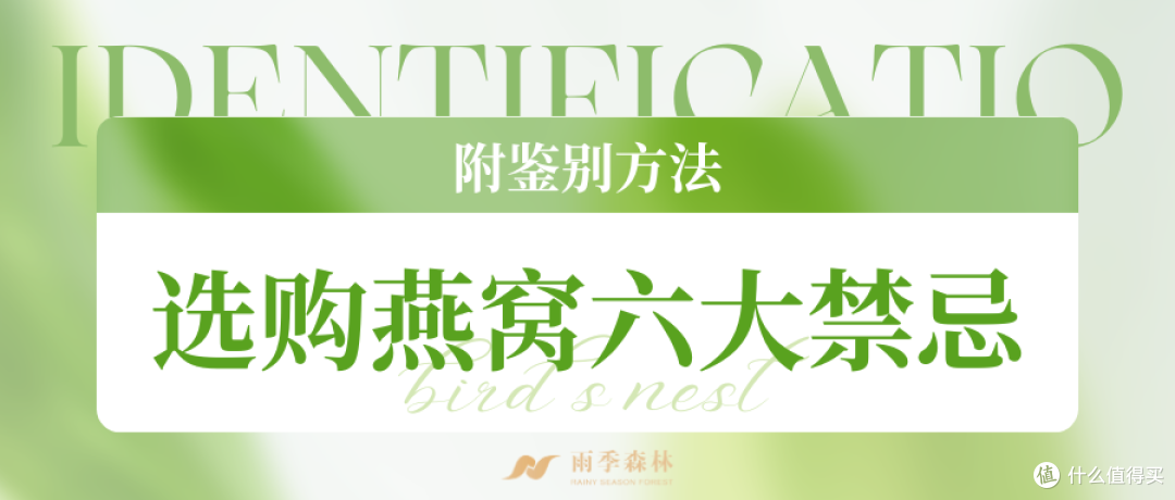 雨季森林教你选购燕窝需谨慎!这6种燕窝绝不能入口!