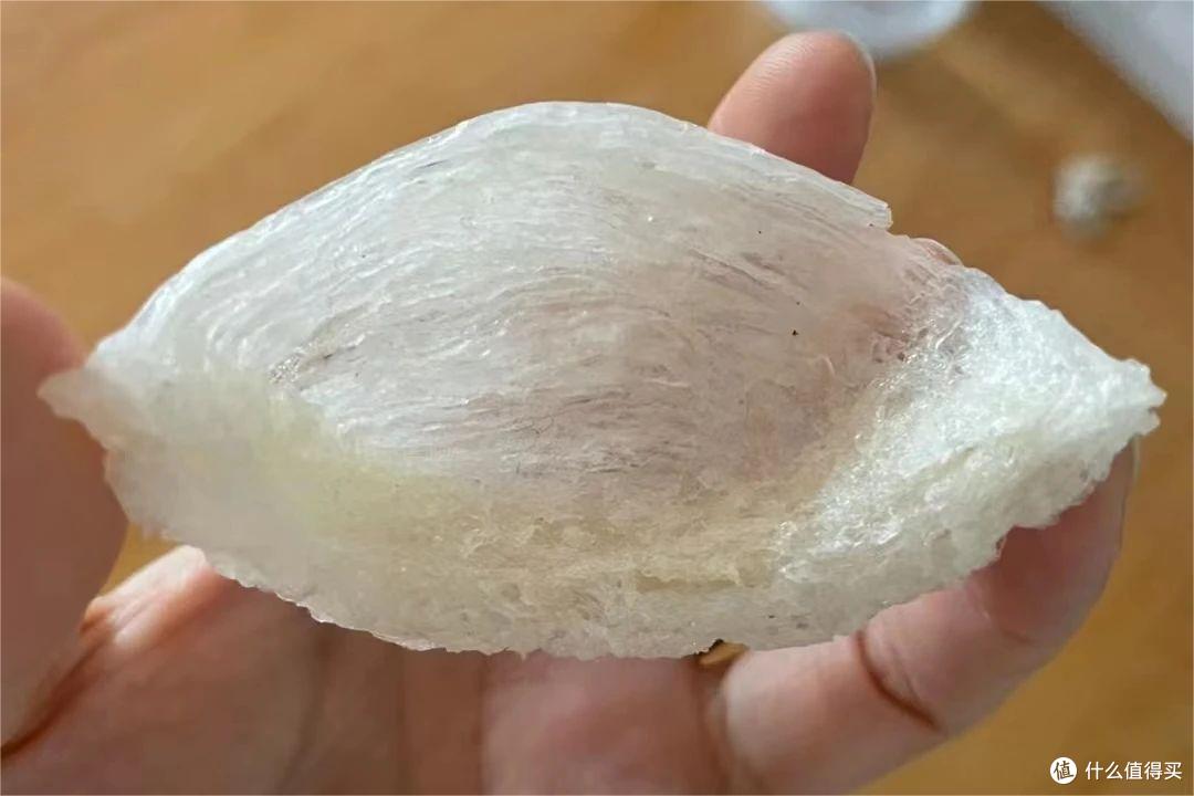 雨季森林教你选购燕窝需谨慎!这6种燕窝绝不能入口!