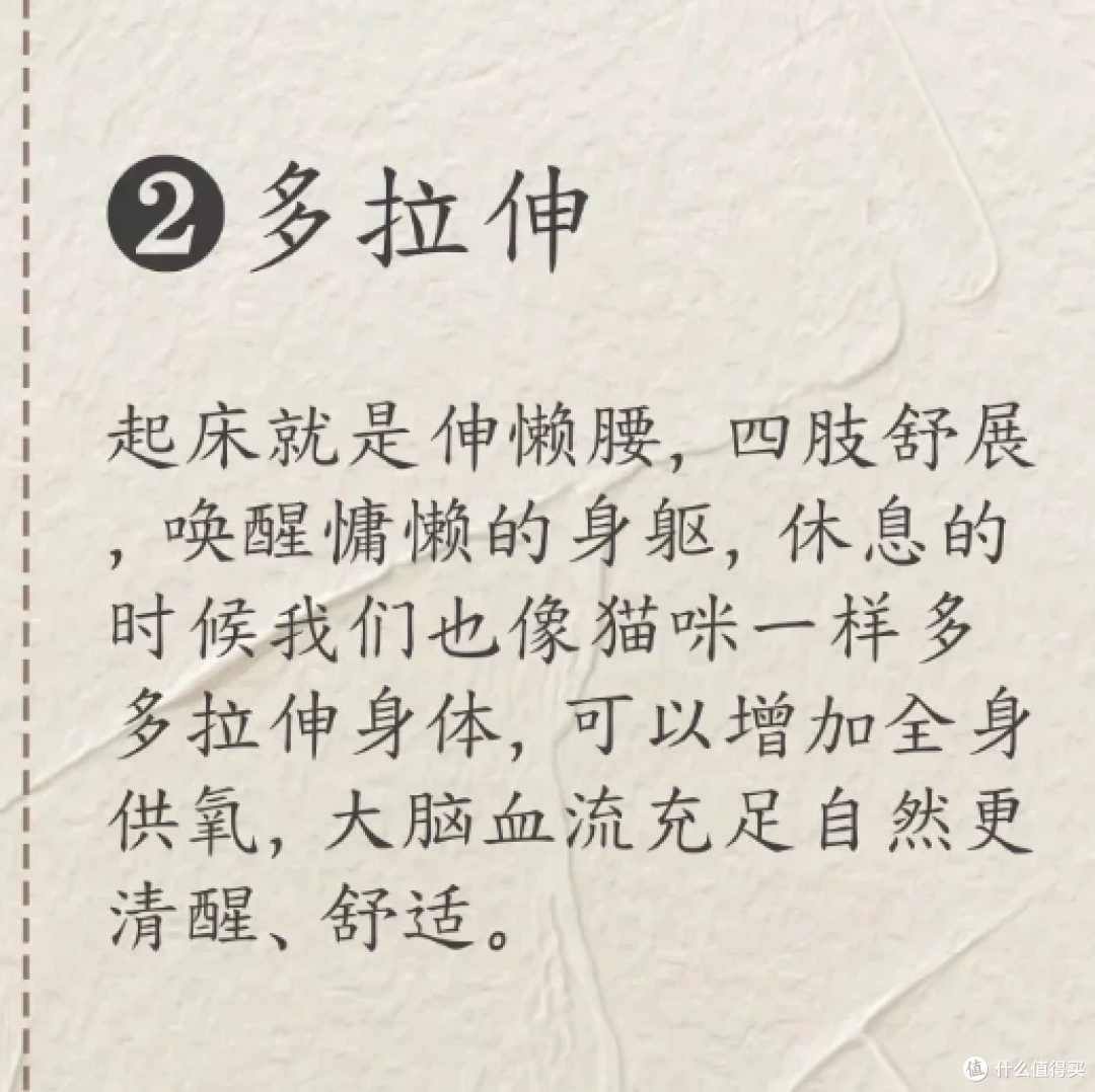 中医:气、xue不足的人要像小猫一样生活