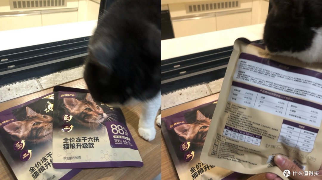 养猫这点事：我的猫粮换来换去，终于找到了主子的心头好！