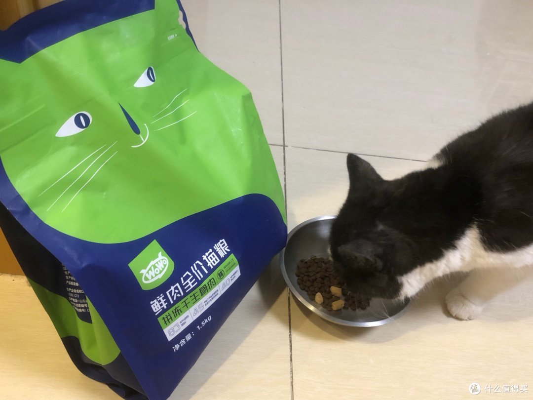 养猫这点事：我的猫粮换来换去，终于找到了主子的心头好！