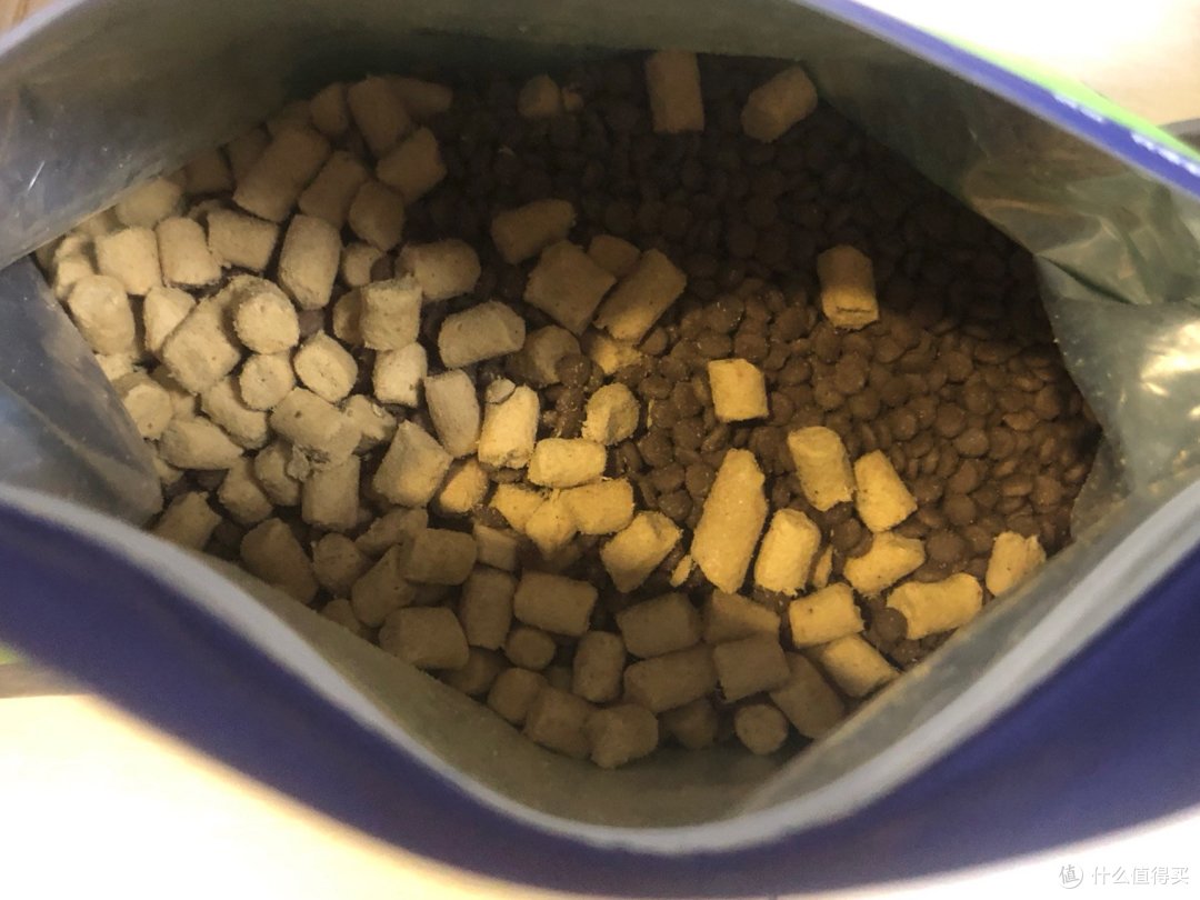 养猫这点事：我的猫粮换来换去，终于找到了主子的心头好！