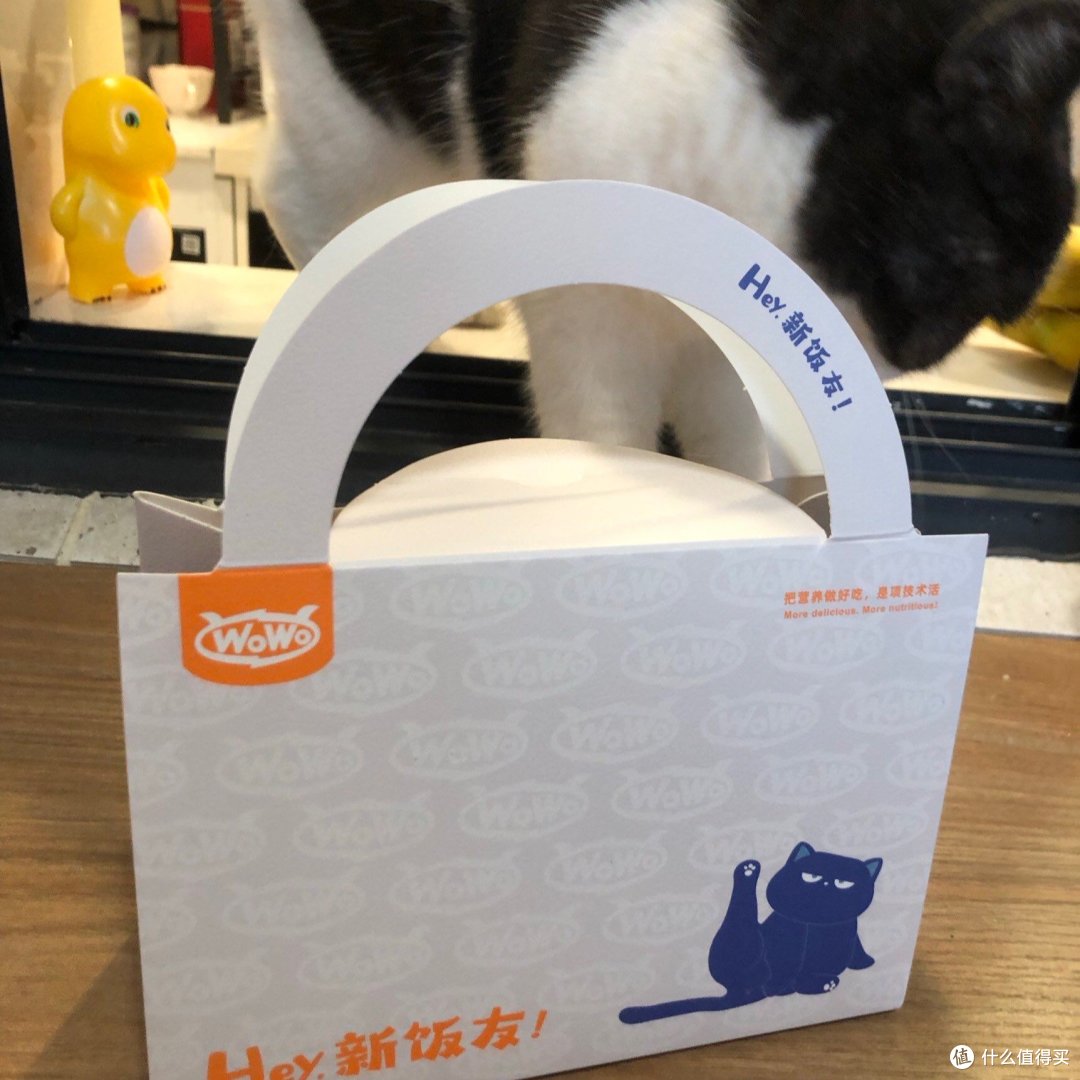 养猫这点事：我的猫粮换来换去，终于找到了主子的心头好！