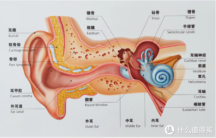 左点骨传导助听器：给老人最安心呵护，聆听生活美好之音。