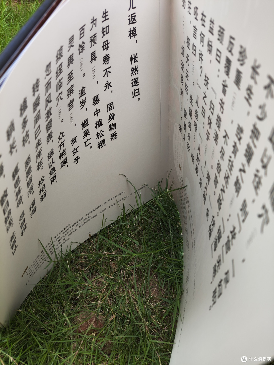 罗刹海市,聊斋志异的经典篇章,到底讲了啥?