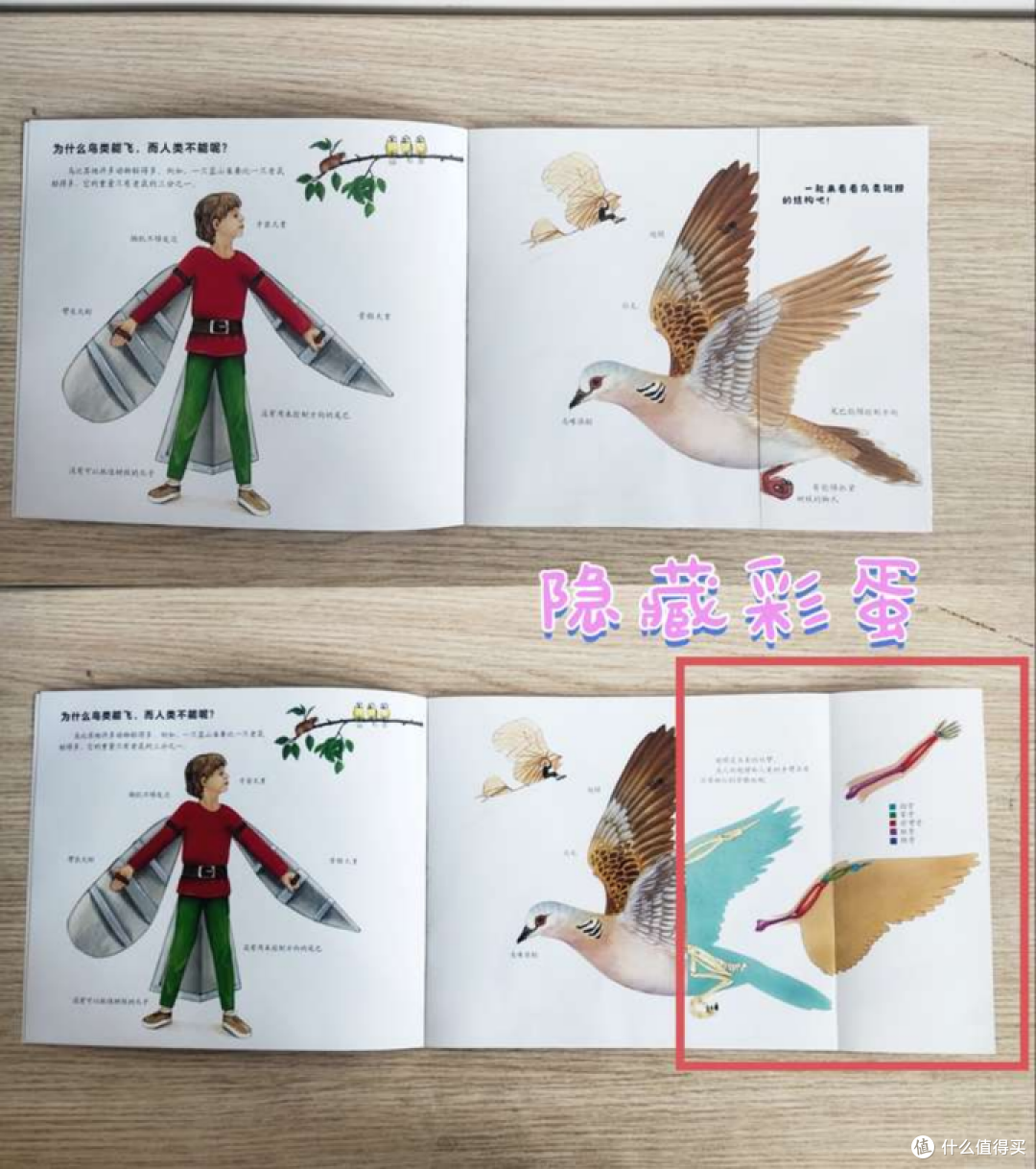 小学孩子对昆虫特别感兴趣,有哪些不错的昆虫童书可以推荐给他暑假阅读吗?
