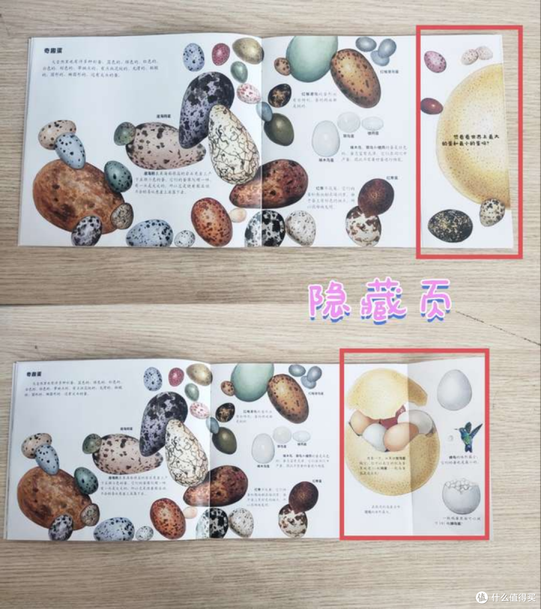 小学孩子对昆虫特别感兴趣,有哪些不错的昆虫童书可以推荐给他暑假阅读吗?
