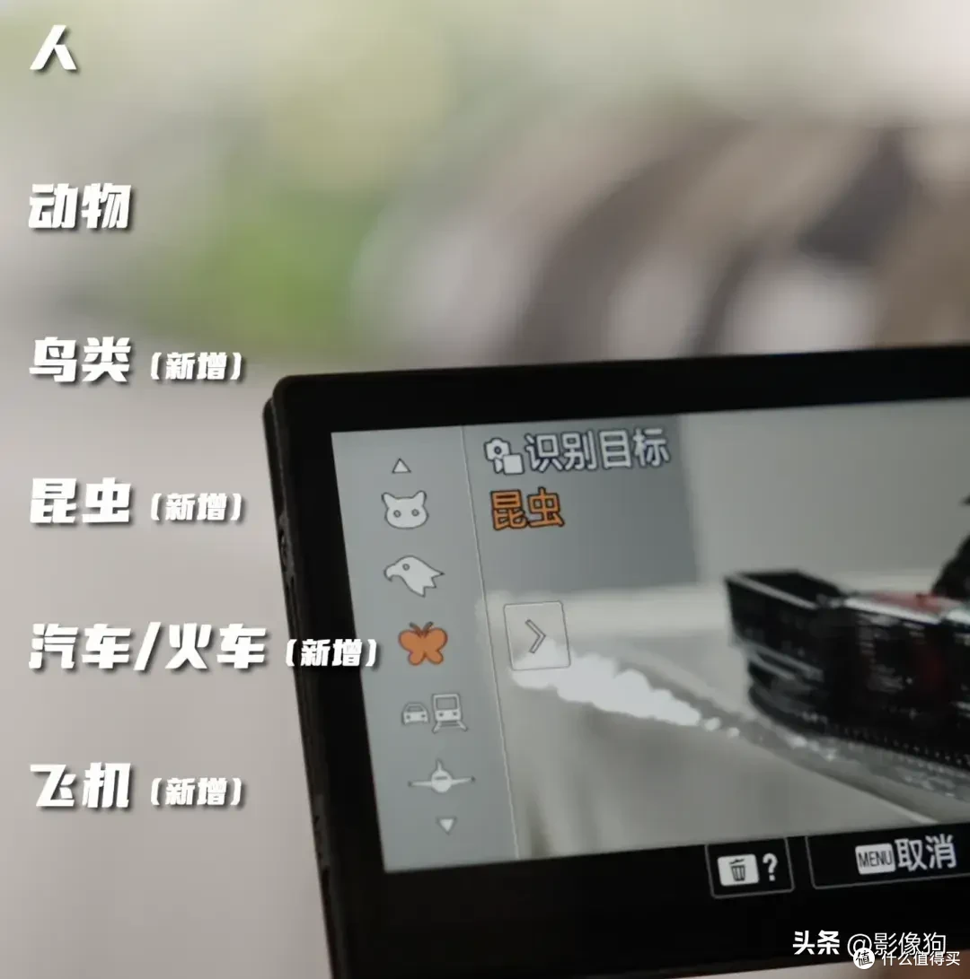 各种场景下,索尼相机对焦怎么设置?