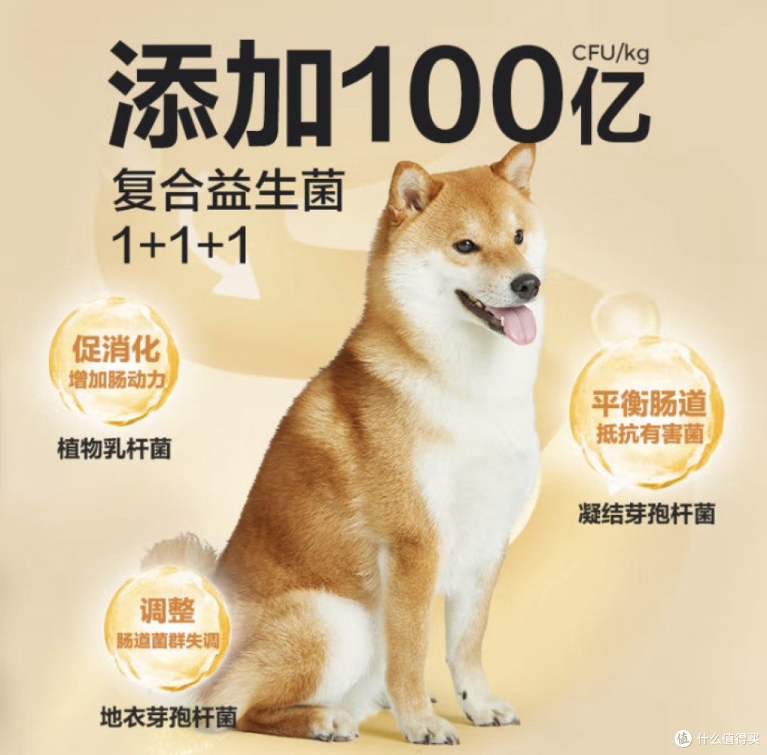 狗粮知识及选购指南
