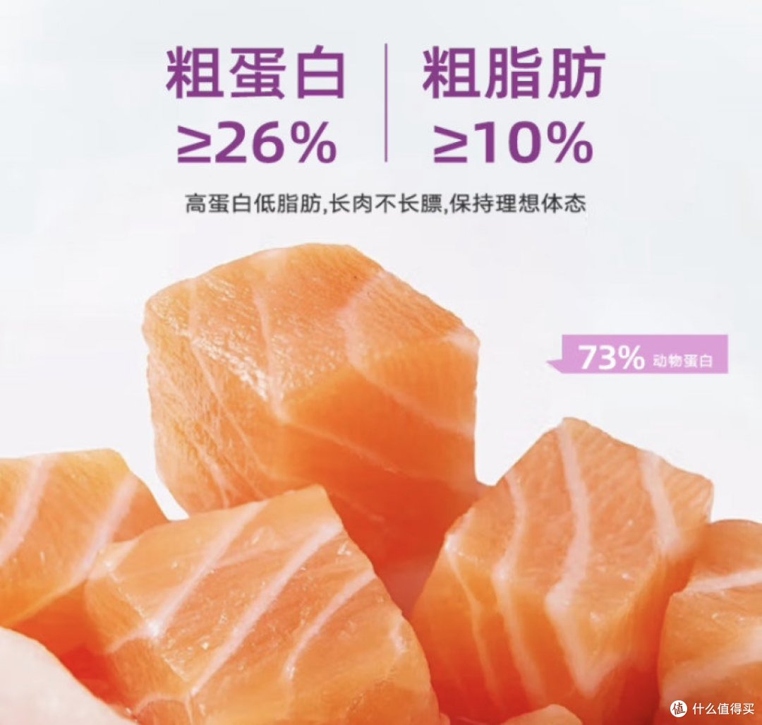 猫粮知识选购指南及品牌产品推荐