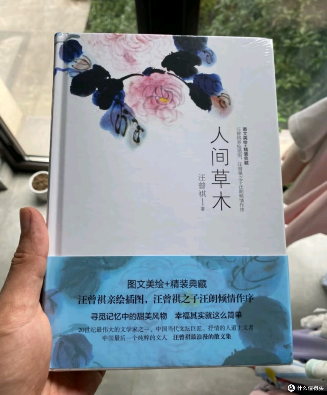 暑假阅读计划之我爱读的人间草木 汪曾祺散文集