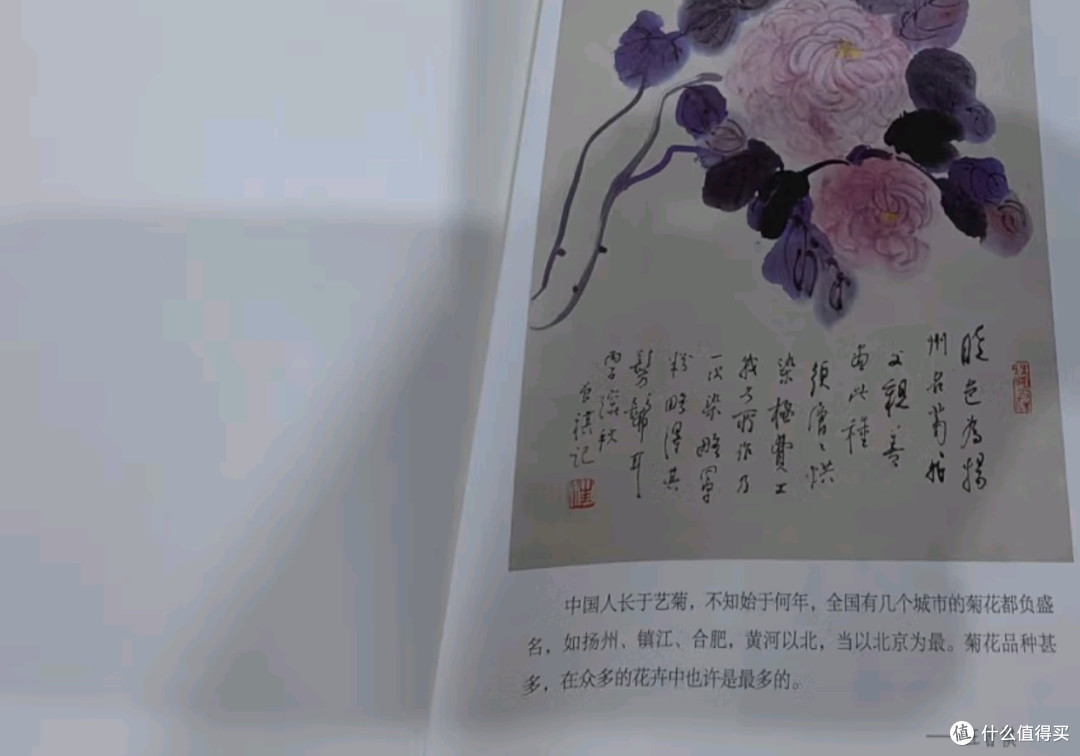 暑假阅读计划之我爱读的人间草木 汪曾祺散文集
