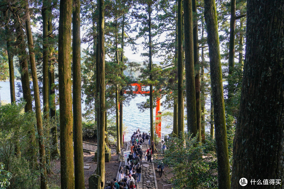 富士山之旅 4：拨开云雾享受箱根湖美景