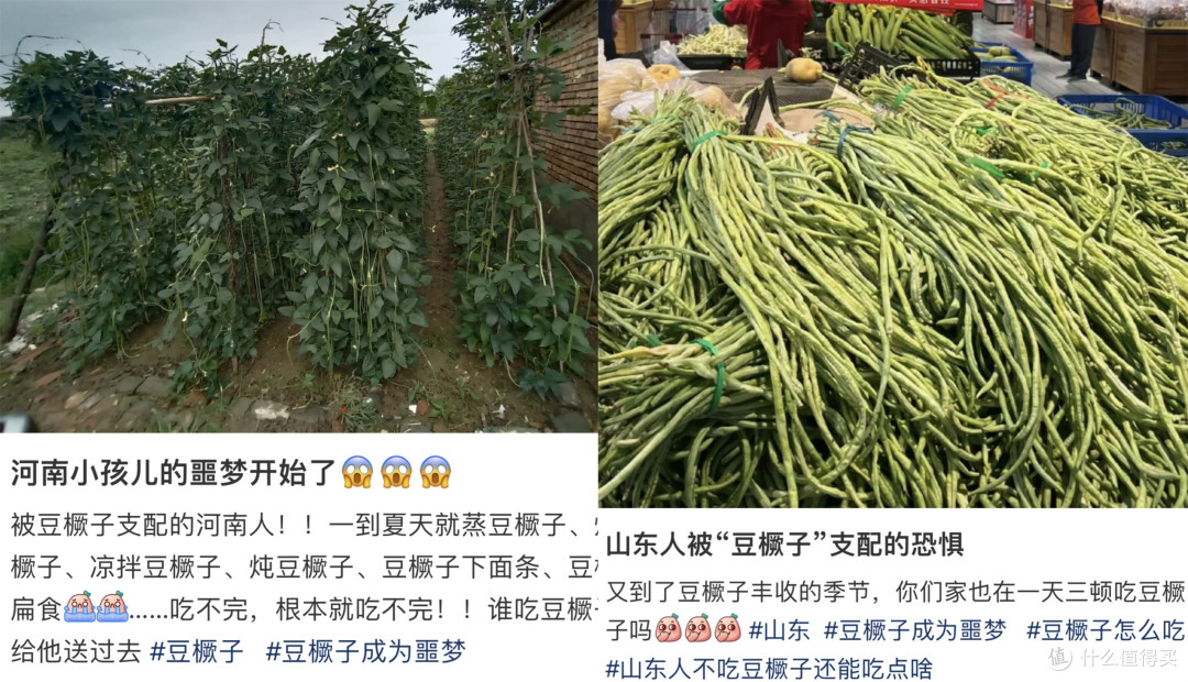 山东豆橛子,广东空心菜,把各省人吃烦的食物都是啥?真吃够了!