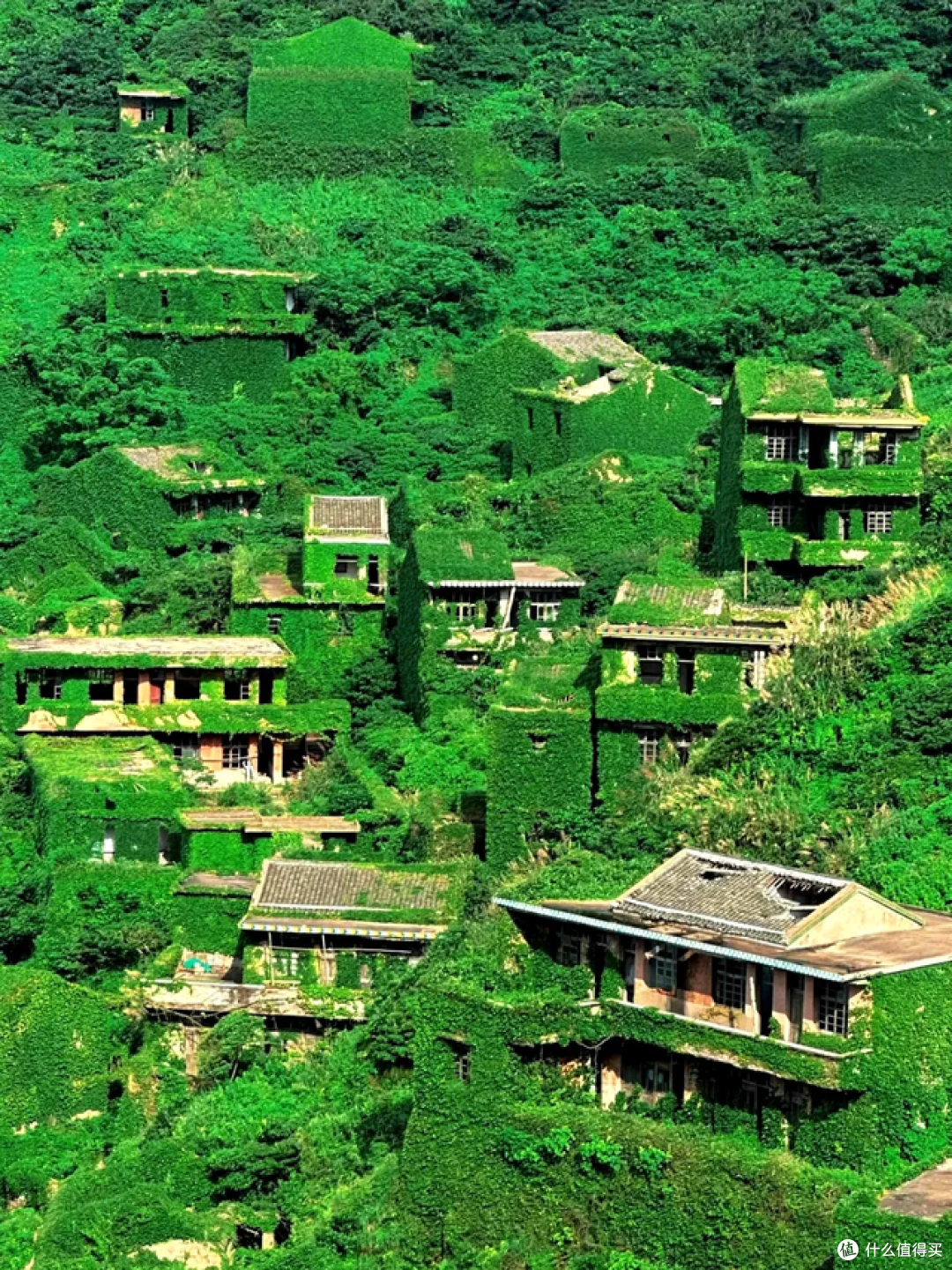 这里是无人村，现实版的绿野仙踪，摄影爱好者的天堂！