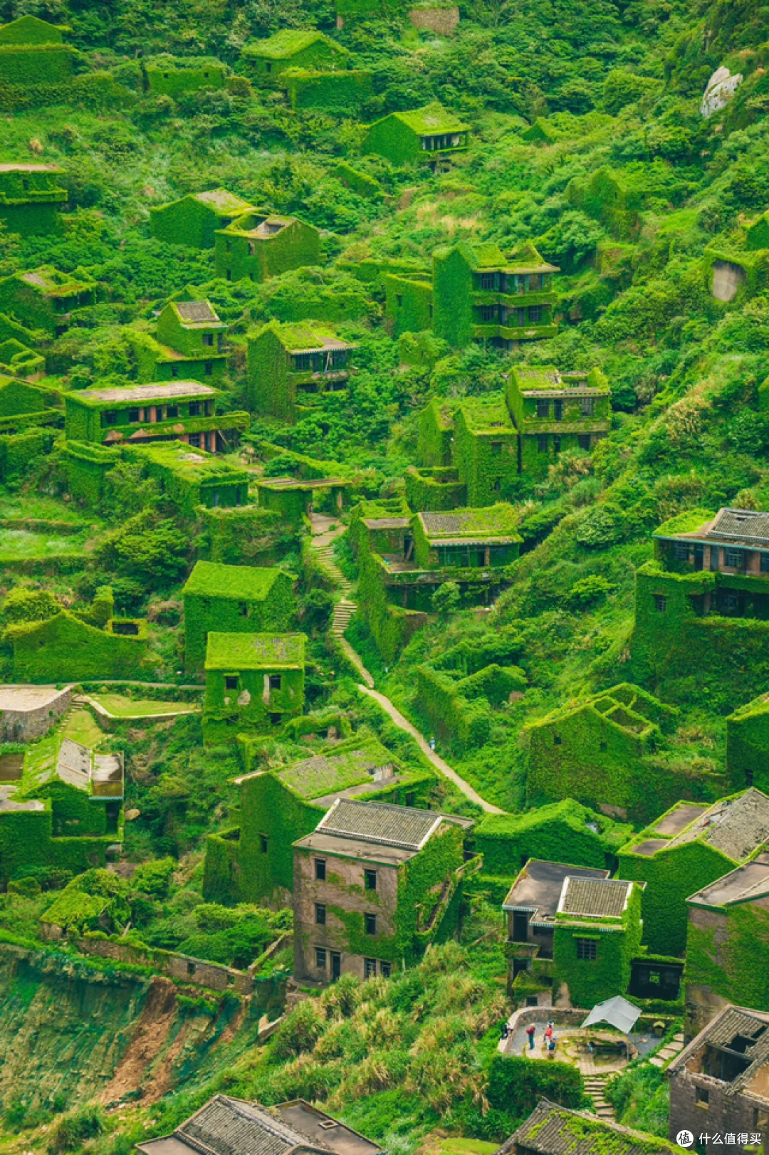这里是无人村，现实版的绿野仙踪，摄影爱好者的天堂！