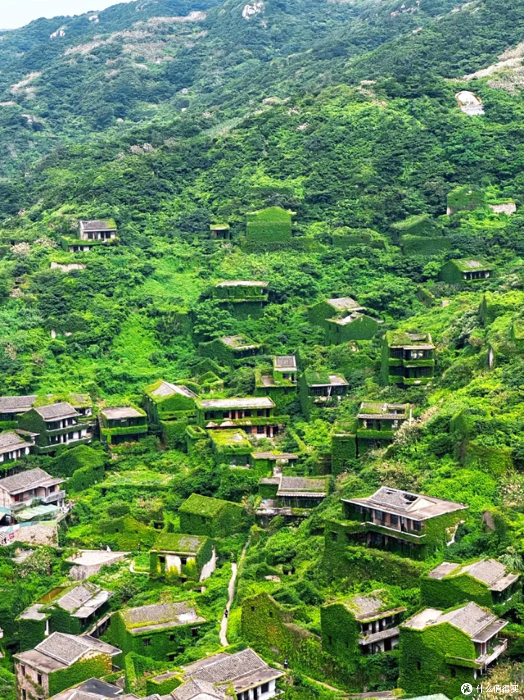 这里是无人村，现实版的绿野仙踪，摄影爱好者的天堂！
