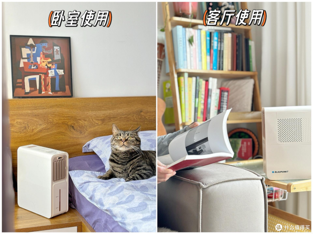横评|夏日必备！这3款电风扇让你清凉一夏！市面上有的电风扇种类都整理到这里了！