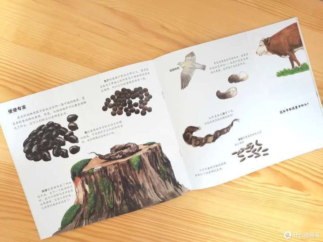 哪些绘本能够帮助孩子了解动物？