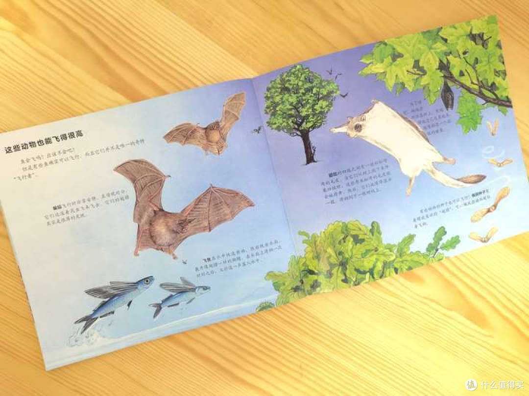 哪些绘本能够帮助孩子了解动物？