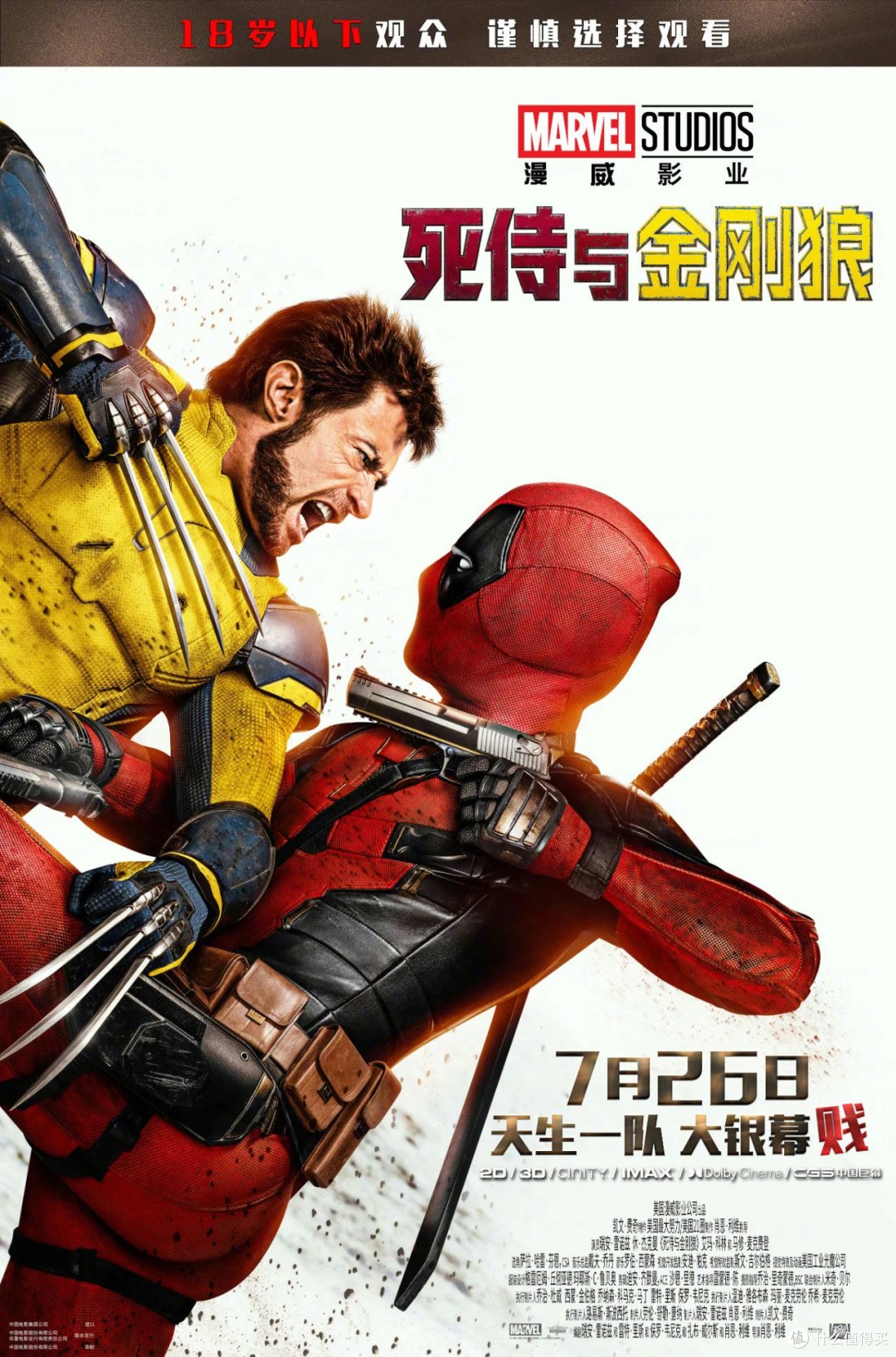 2024 年下半年最期待的上映电影，电影艺术之花不会凋零