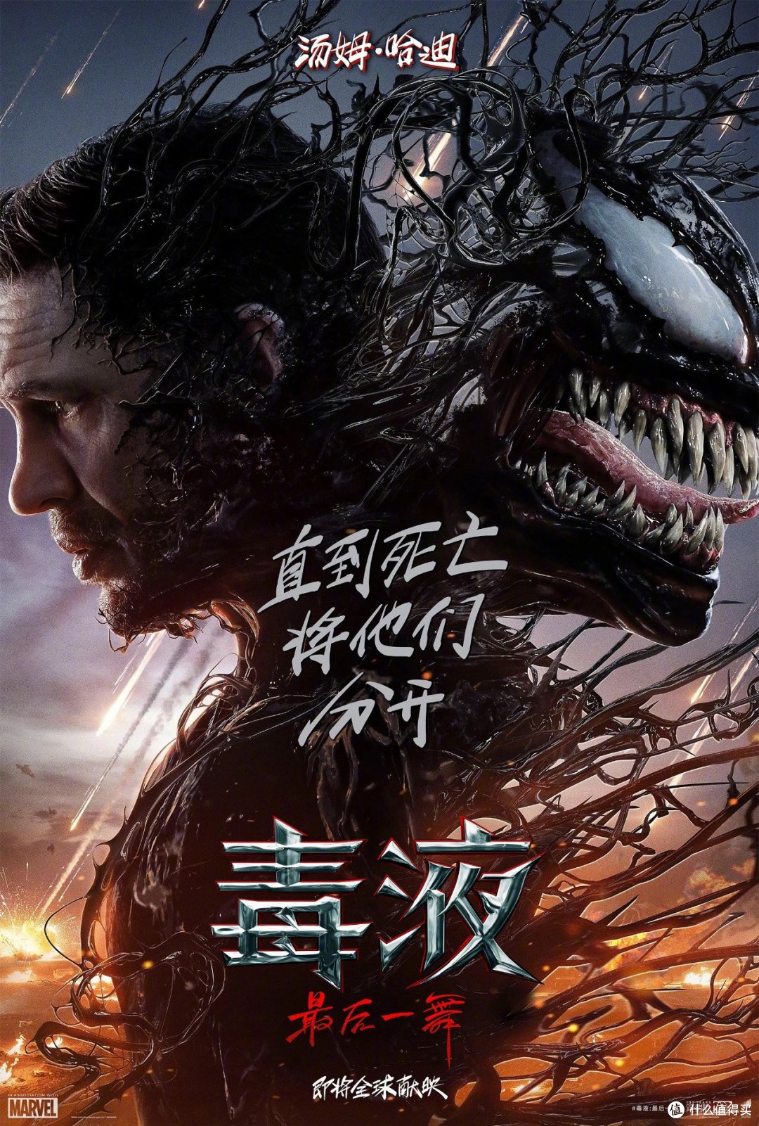 2024 年下半年最期待的上映电影，电影艺术之花不会凋零