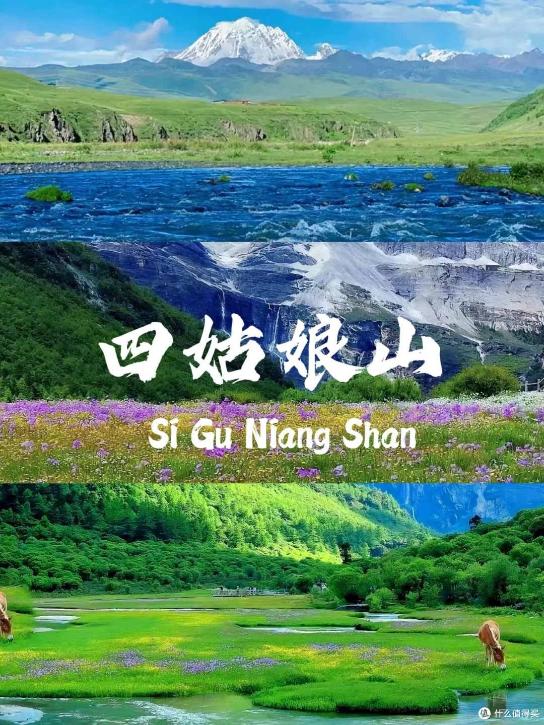 蜀韵山川,四川名山探秘之旅不容错过!