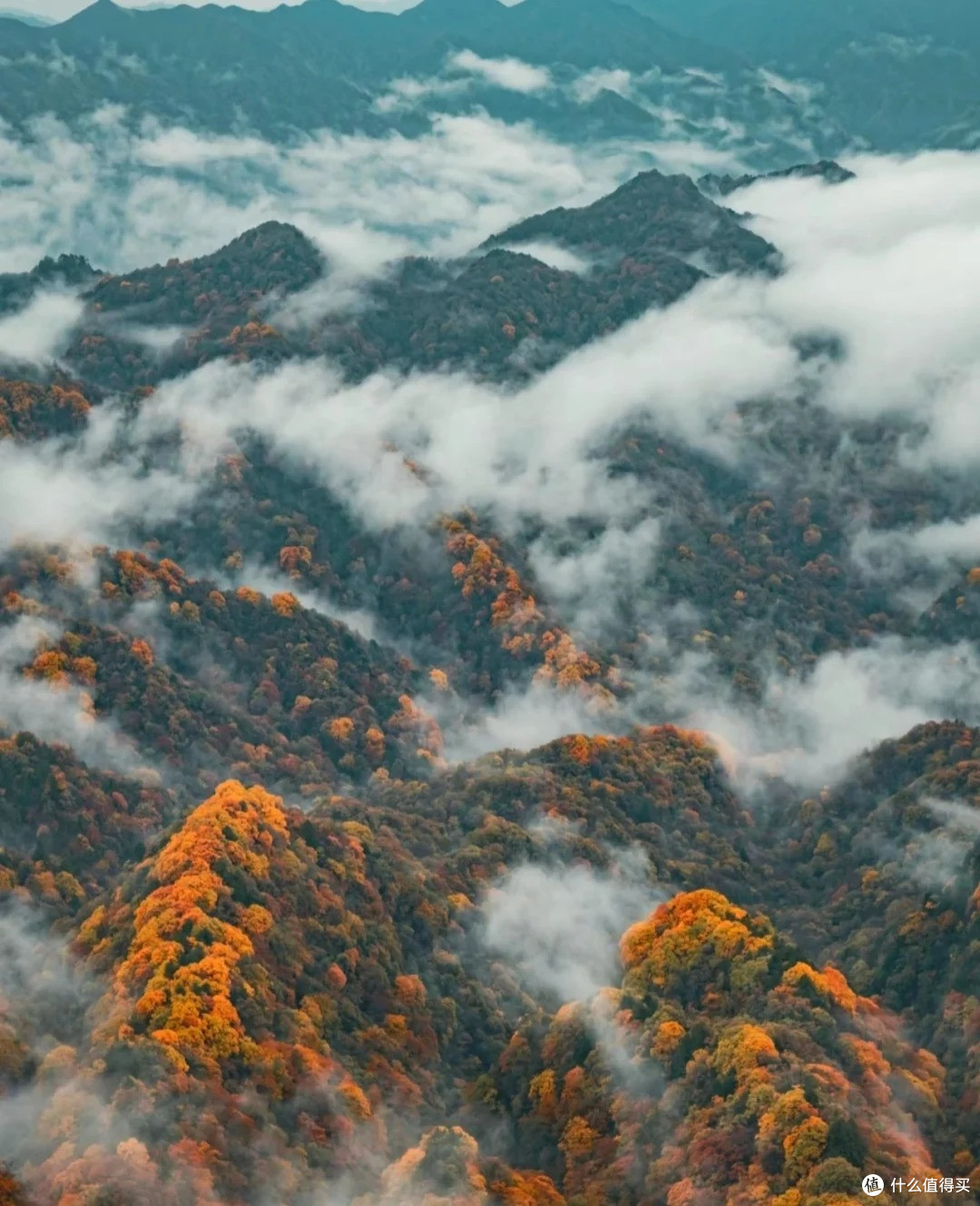 蜀韵山川,四川名山探秘之旅不容错过!
