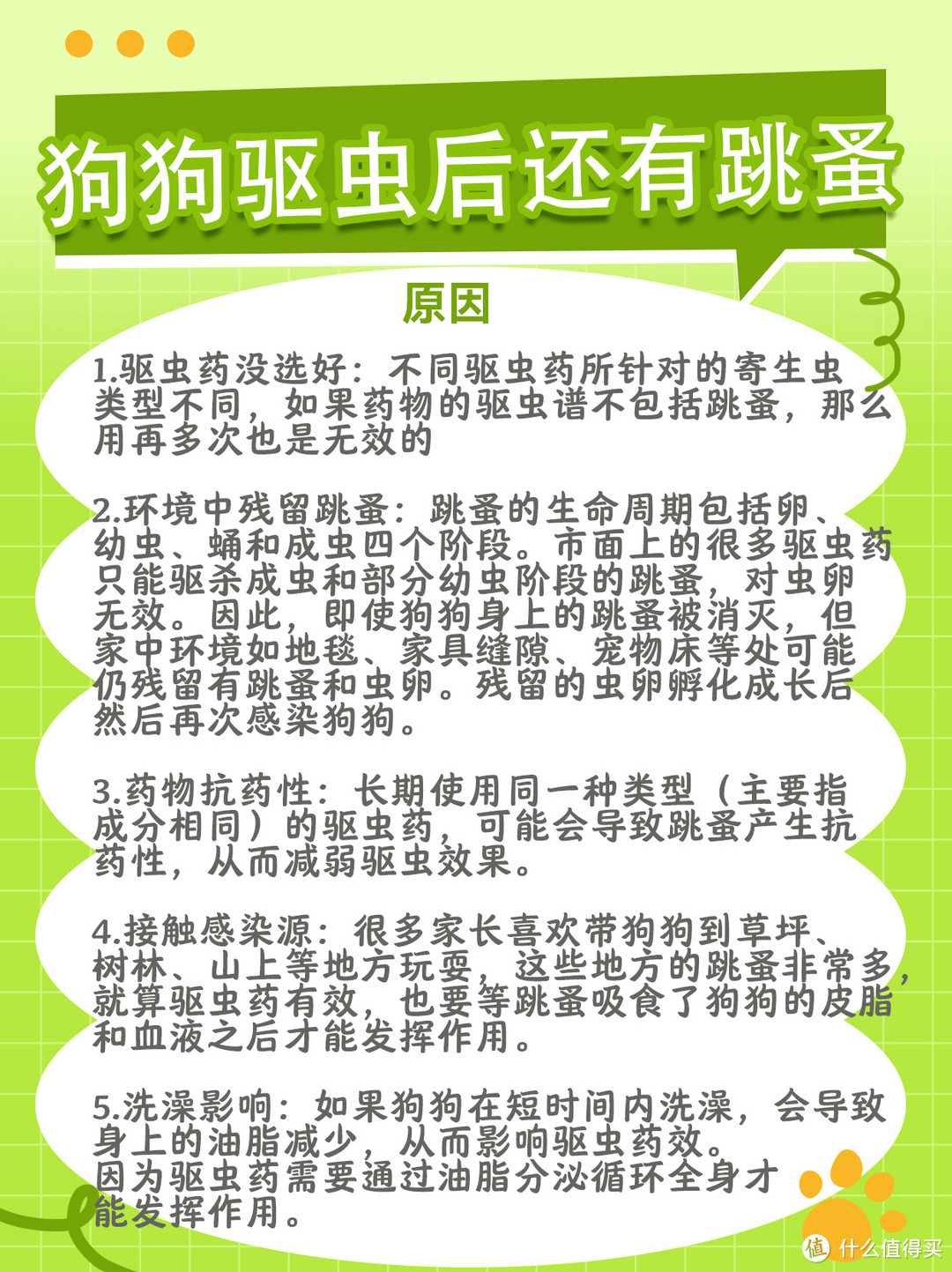 什么？狗狗驱虫后还有跳蚤？问题出在哪里!