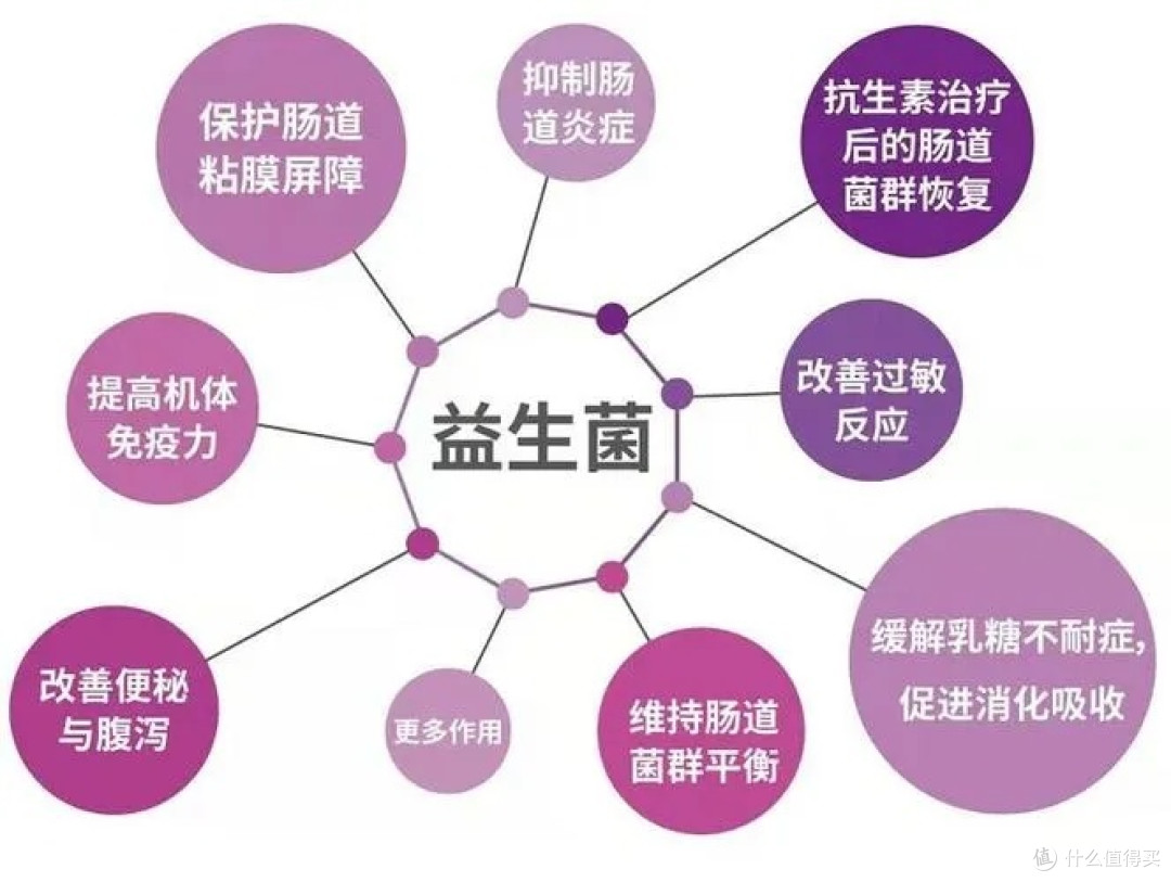 选对益生菌,减肥事半功倍!这份攻略请收藏!