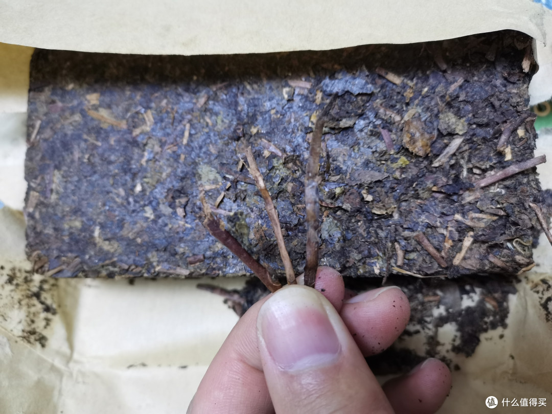 大家对黑茶的接受度不高?其实这是一个美丽的误解