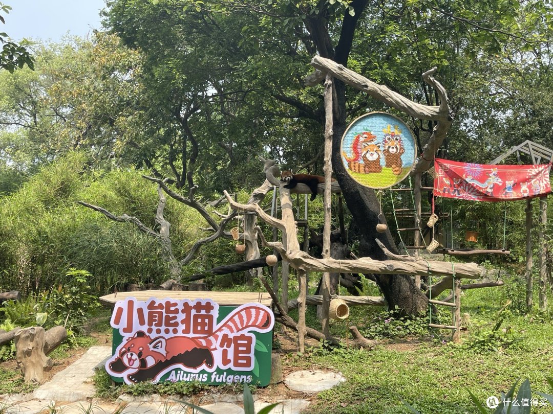 暑假游记:广州动物园之旅