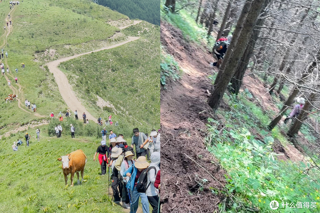 新手可冲！麻田岭10km徒步全过程详记，在山间尽情撒野！（附户外装备清单