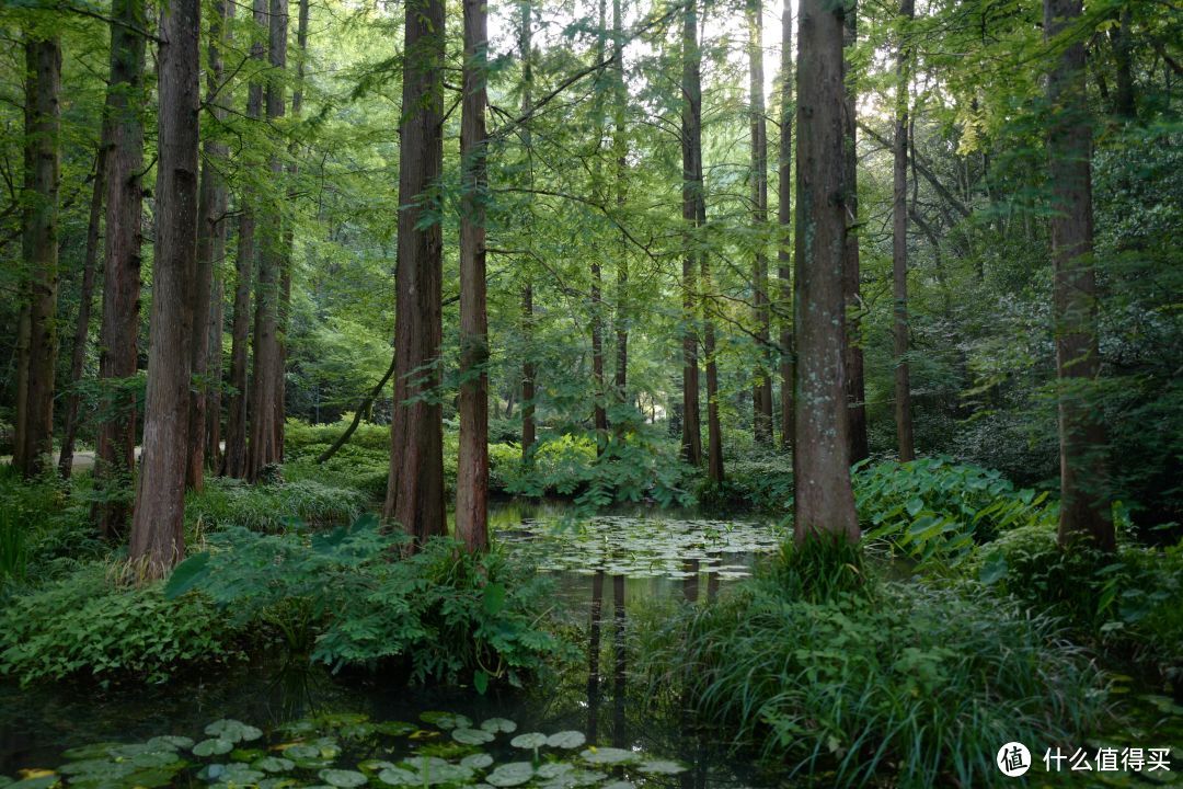 夏日避暑天花板，除了这里我真想不到其他了