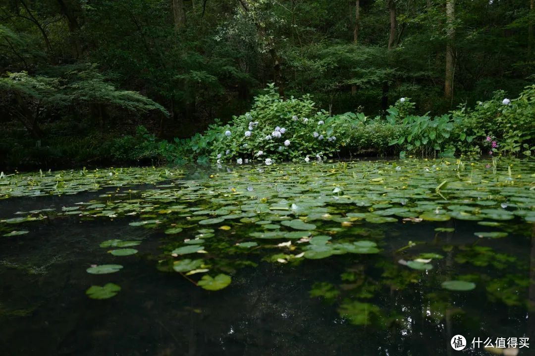 夏日避暑天花板，除了这里我真想不到其他了