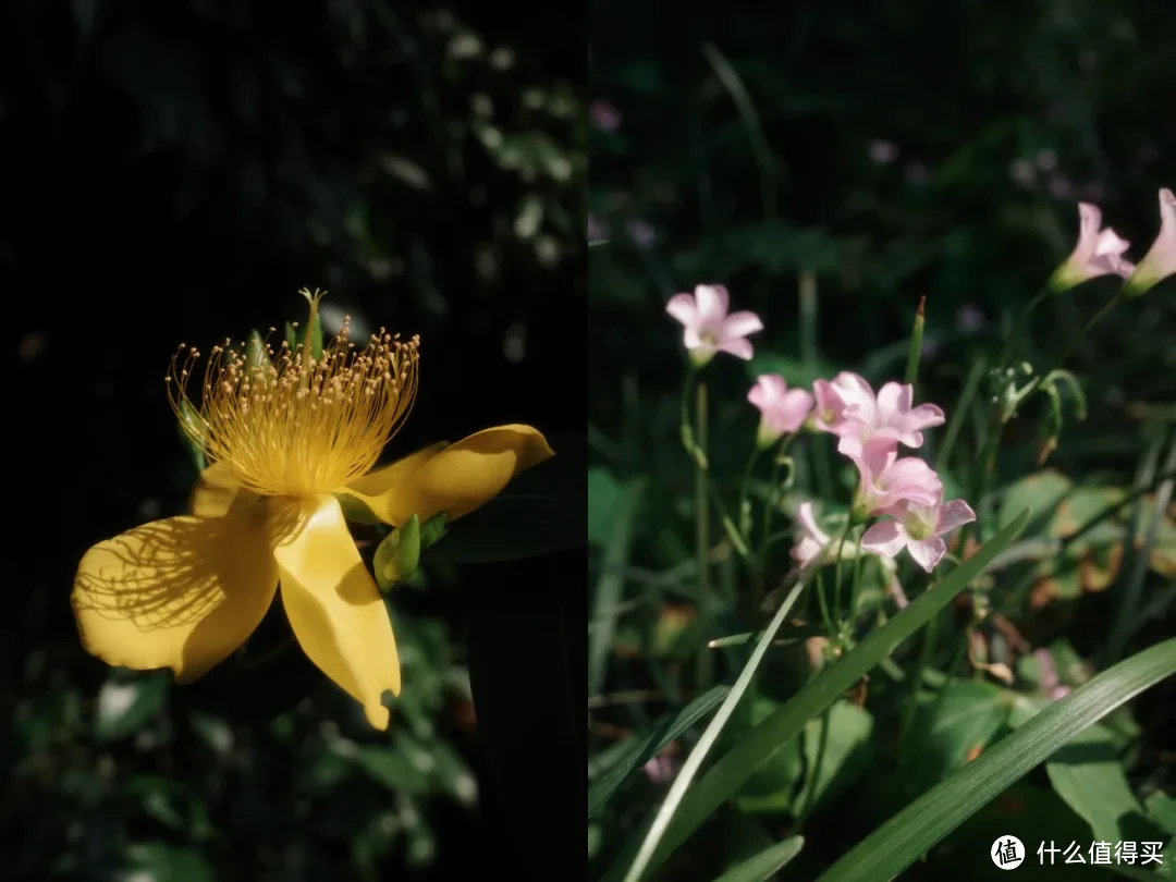 夏日避暑天花板，除了这里我真想不到其他了