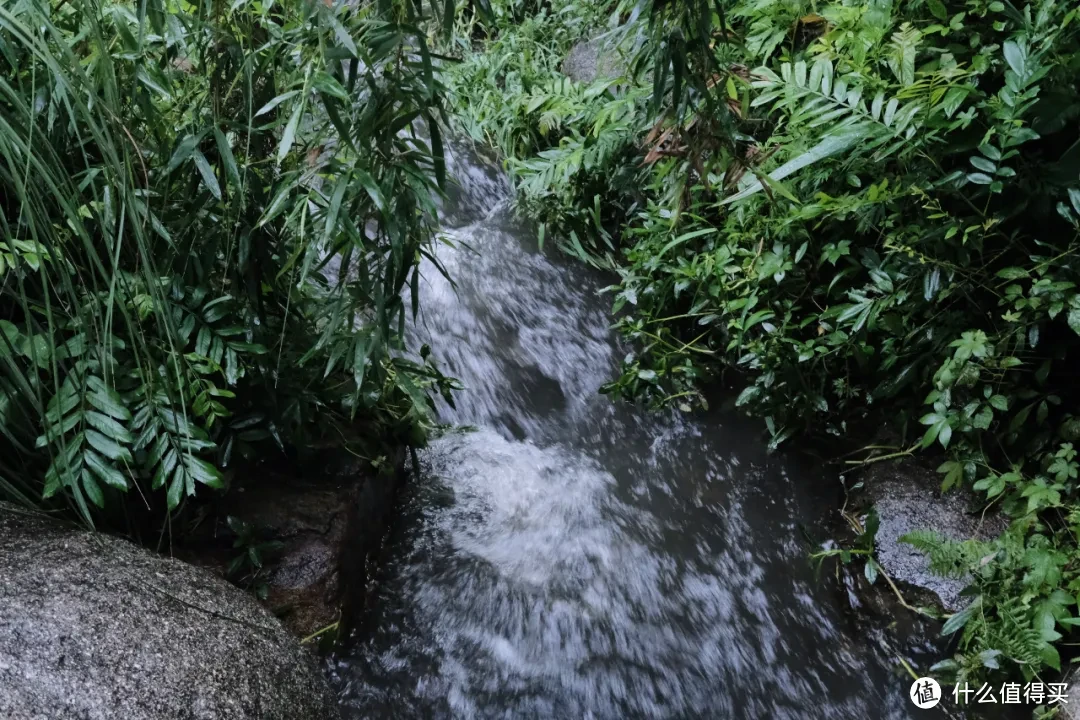 夏日避暑天花板，除了这里我真想不到其他了