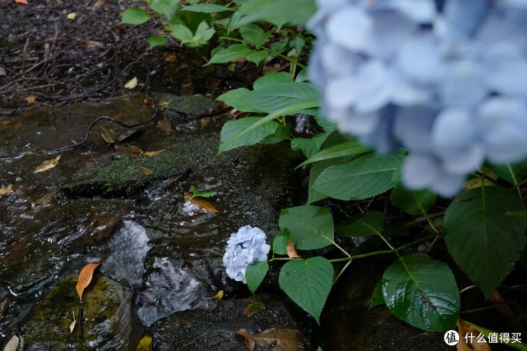 夏日避暑天花板，除了这里我真想不到其他了