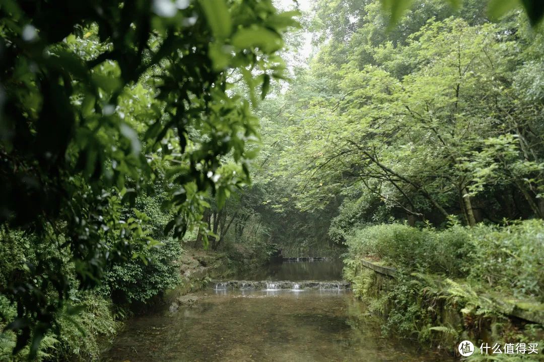 夏日避暑天花板，除了这里我真想不到其他了