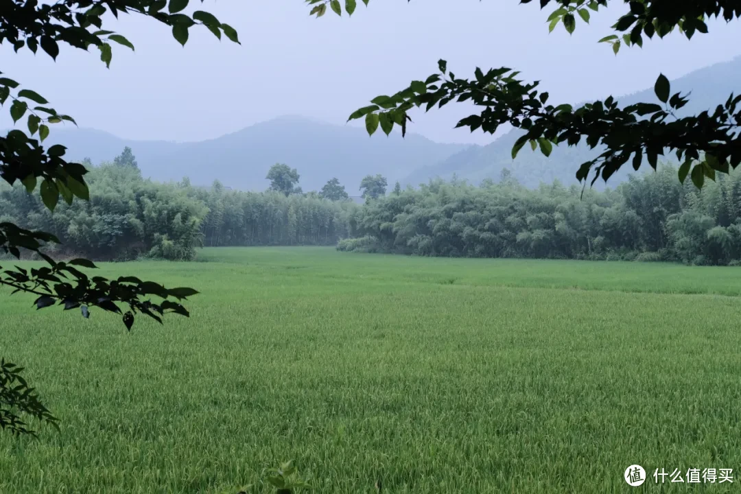 夏日避暑天花板，除了这里我真想不到其他了