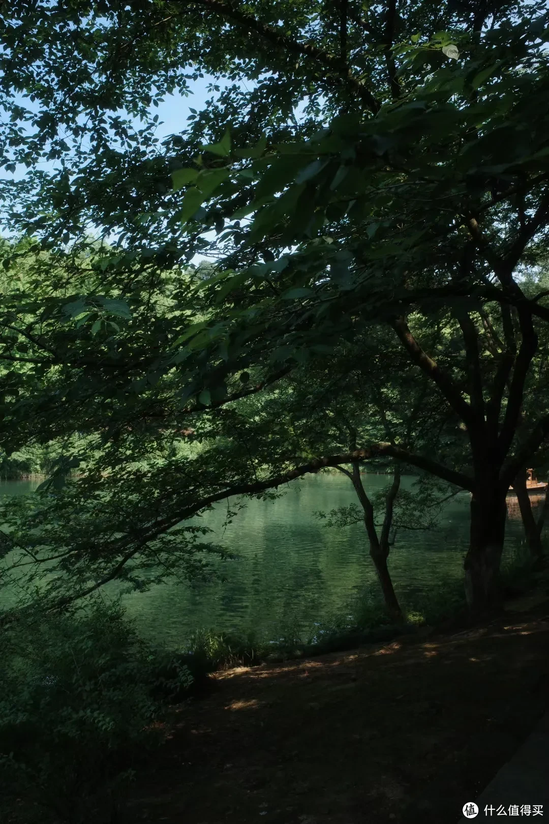 夏日避暑天花板，除了这里我真想不到其他了