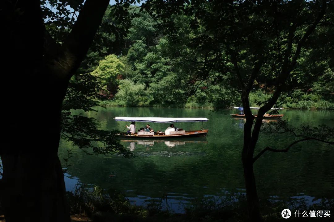 夏日避暑天花板，除了这里我真想不到其他了