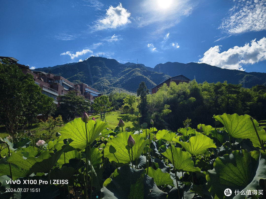 游藏在深山竹林中的避暑胜地-安吉云上草原 半山竹隐酒店。强烈推荐但是有坑！