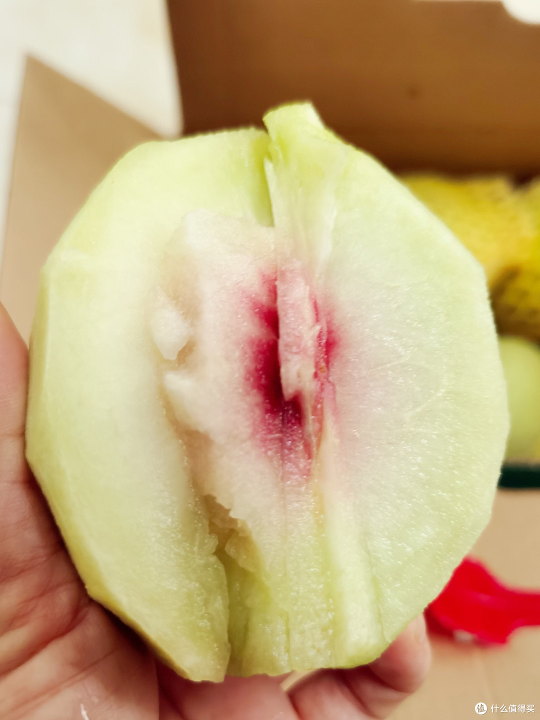 鹰嘴桃,夏日里的甜蜜诱惑!
