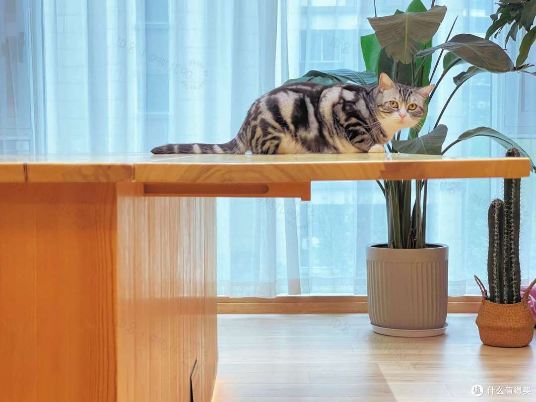 如何DIY属于自己的定制家具