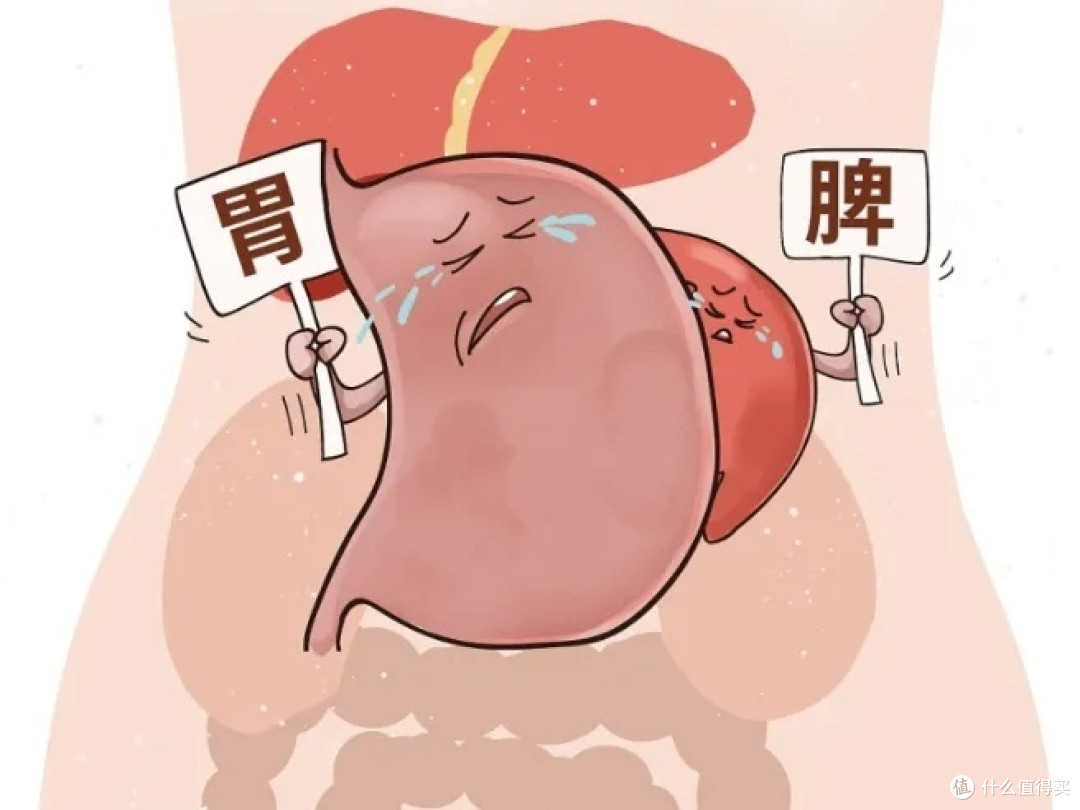 伏天脾虚湿气重，你有几条？