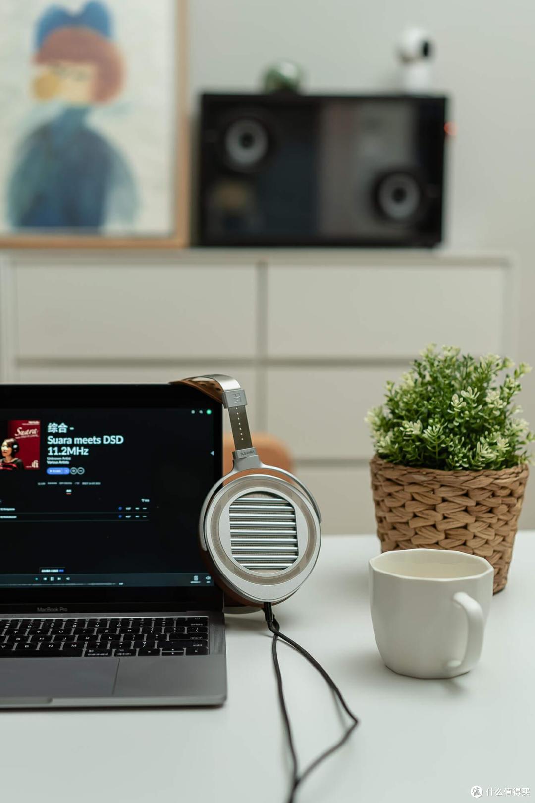 宠爱有品男人就送这款! HIFIMAN Susvara Unveiled 壕物分享