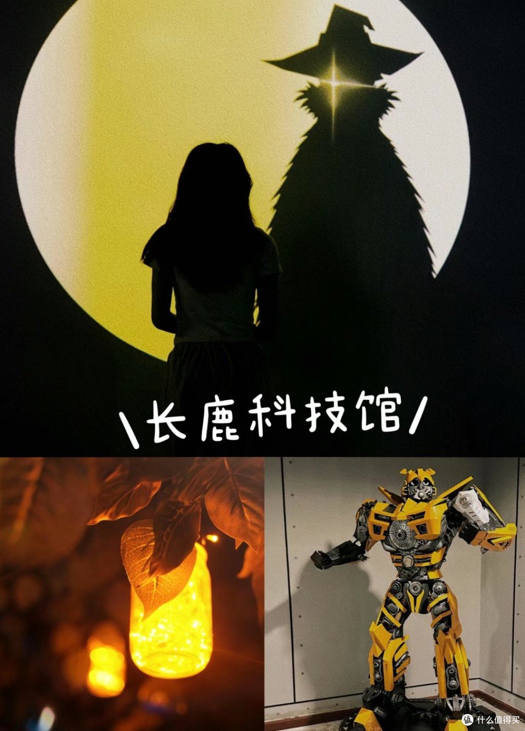 💏亲子游玩记,长鹿🎢真香,夏天的快乐谁懂!👍